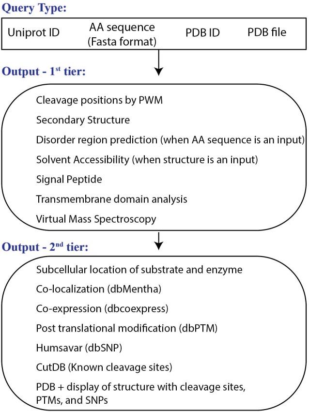 https://cdn.ncbi.nlm.nih.gov/pmc/blobs/c371/4440711/9d1f49aa23f4/pone.0127877.g004.jpg