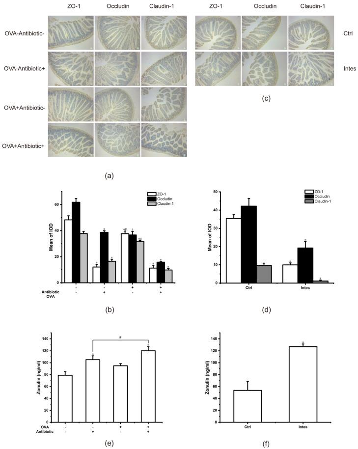 https://cdn.ncbi.nlm.nih.gov/pmc/blobs/c371/8539551/72d46a7166ad/nutrients-13-03315-g009.jpg