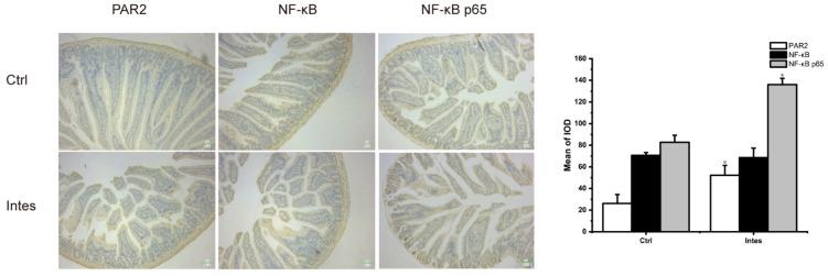 https://cdn.ncbi.nlm.nih.gov/pmc/blobs/c371/8539551/b63bd01be96e/nutrients-13-03315-g010.jpg