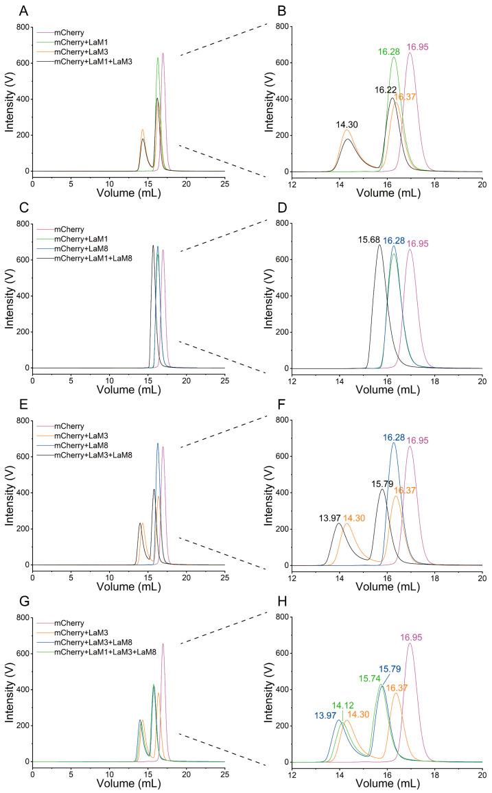 https://cdn.ncbi.nlm.nih.gov/pmc/blobs/c372/10138814/64a54f3efc04/ijms-24-06952-g003.jpg