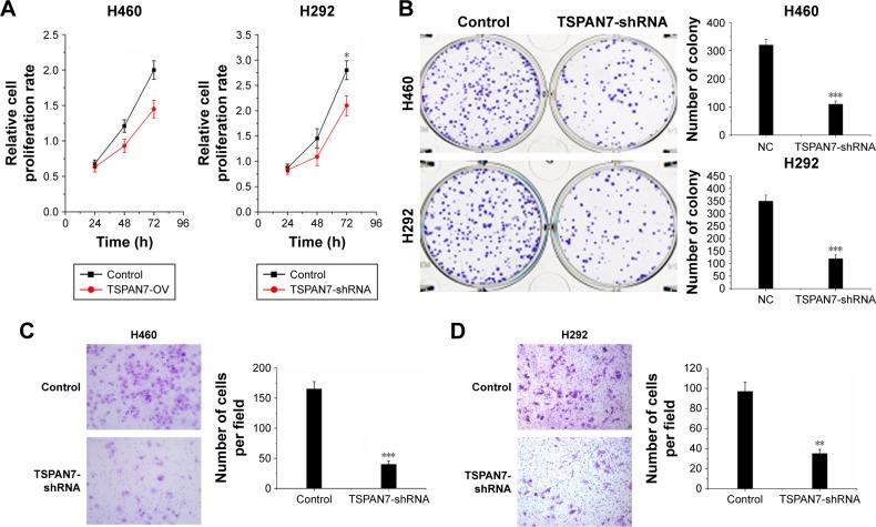 https://cdn.ncbi.nlm.nih.gov/pmc/blobs/c372/6300375/f00becd83399/ott-11-8815Fig4.jpg