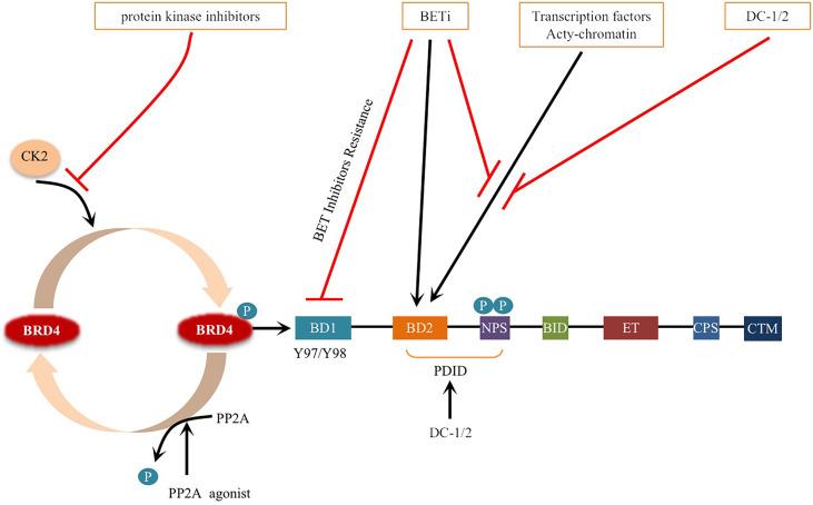 https://cdn.ncbi.nlm.nih.gov/pmc/blobs/c372/8993501/2bc6a6851de9/fonc-12-847701-g003.jpg