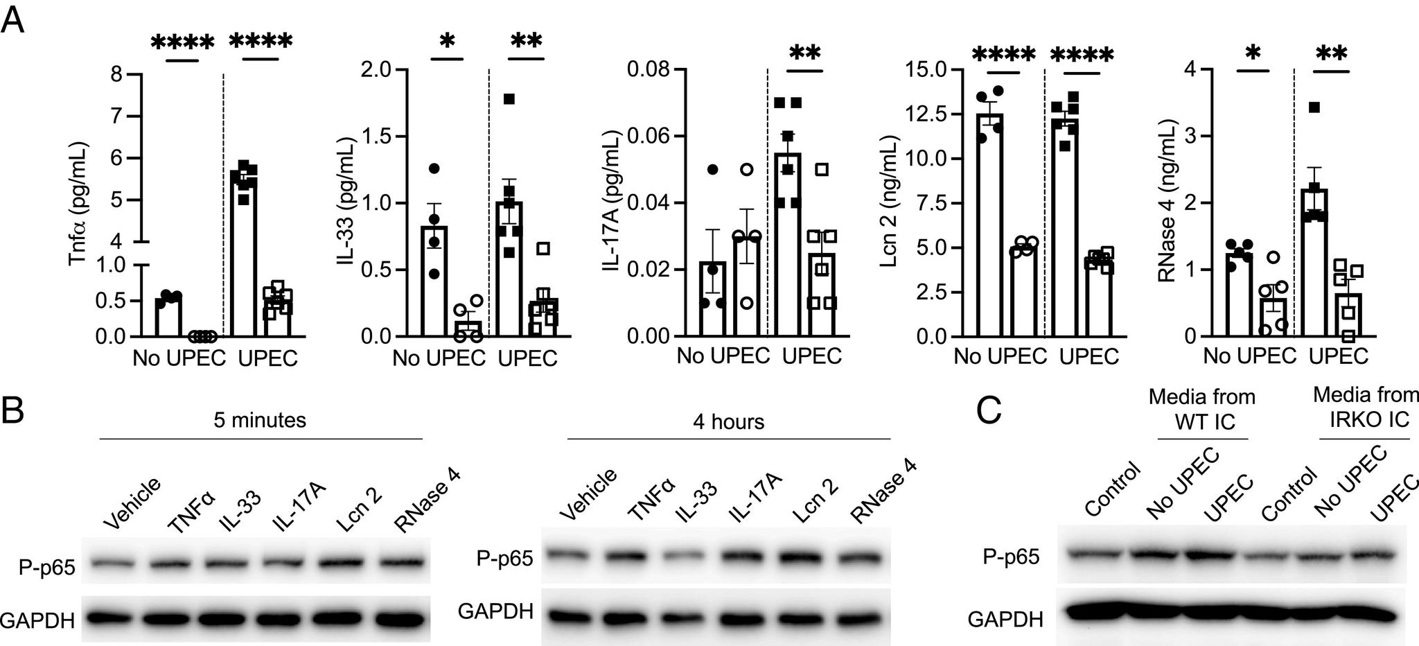 https://cdn.ncbi.nlm.nih.gov/pmc/blobs/c374/11260129/23c7a1d5d161/pnas.2400666121fig08.jpg