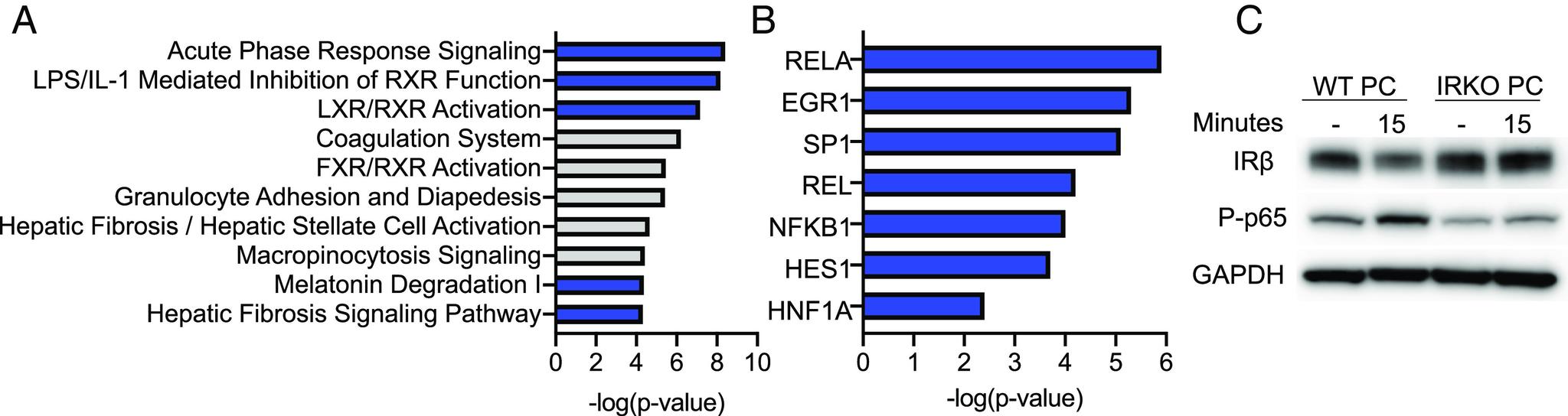 https://cdn.ncbi.nlm.nih.gov/pmc/blobs/c374/11260129/89828d3bf653/pnas.2400666121fig07.jpg