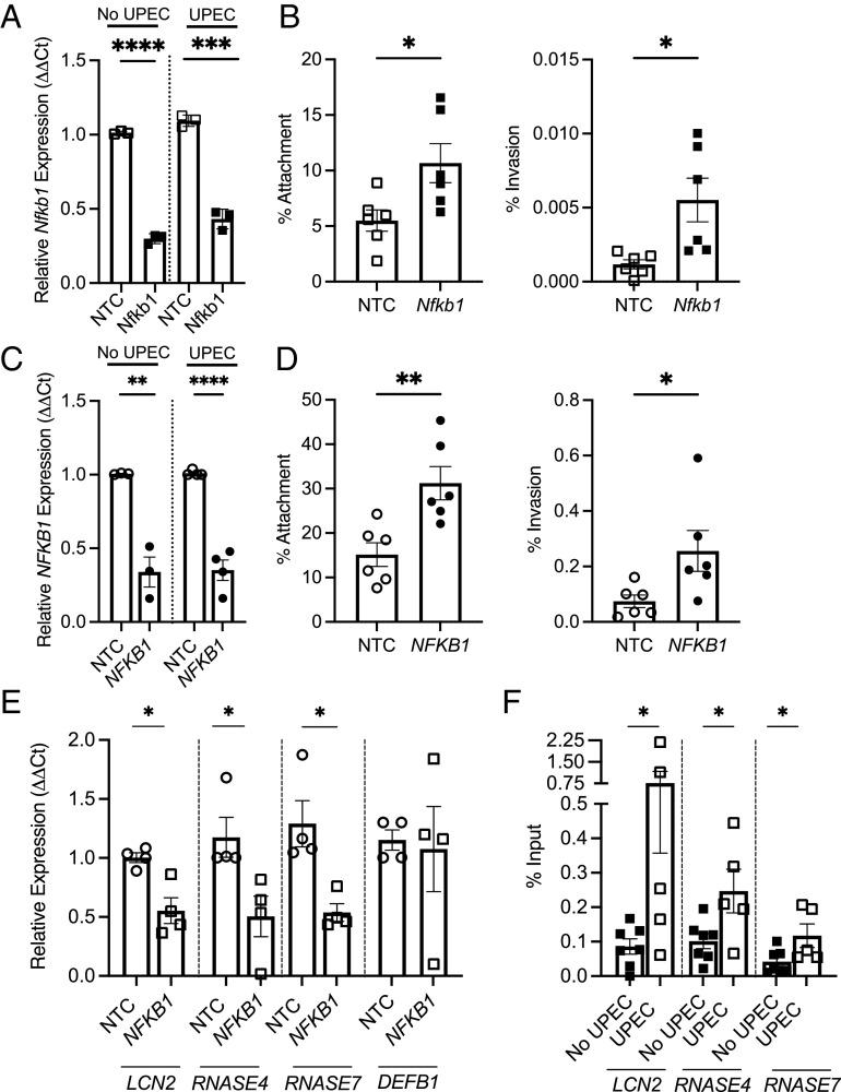 https://cdn.ncbi.nlm.nih.gov/pmc/blobs/c374/11260129/af5b89773ba3/pnas.2400666121fig06.jpg