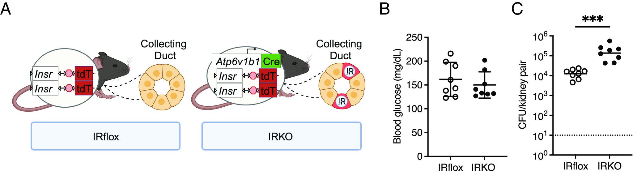 https://cdn.ncbi.nlm.nih.gov/pmc/blobs/c374/11260129/ee05ae43d0f5/pnas.2400666121fig02.jpg