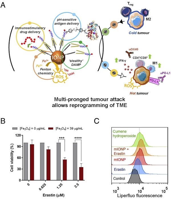 https://cdn.ncbi.nlm.nih.gov/pmc/blobs/c377/10291575/c9ebe9fcd926/EXP2-1-75-g006.jpg