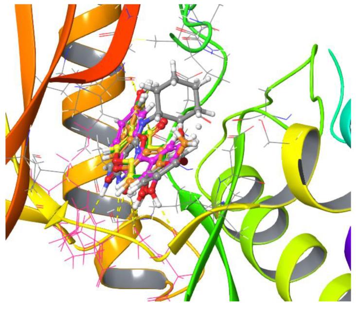 https://cdn.ncbi.nlm.nih.gov/pmc/blobs/c377/9692432/60997e51d8ba/ijms-23-14228-g005.jpg