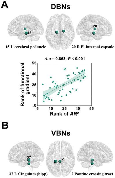 https://cdn.ncbi.nlm.nih.gov/pmc/blobs/c378/11425219/0893f52b9eb9/ADVS-11-2400061-g008.jpg