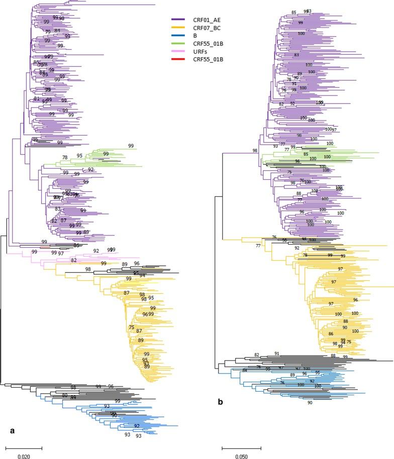 https://cdn.ncbi.nlm.nih.gov/pmc/blobs/c379/7640427/8c132467d930/12985_2020_1441_Fig2_HTML.jpg