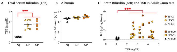 https://cdn.ncbi.nlm.nih.gov/pmc/blobs/c37a/12249923/d6ef25e61391/ijms-26-06262-g010.jpg