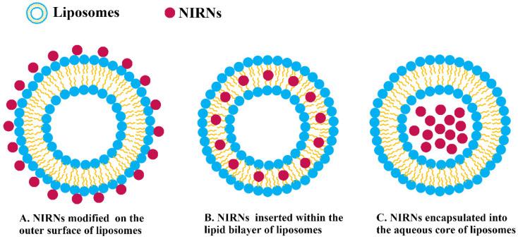 https://cdn.ncbi.nlm.nih.gov/pmc/blobs/c37a/8704010/67a648cdf232/pharmaceutics-13-02070-g003.jpg