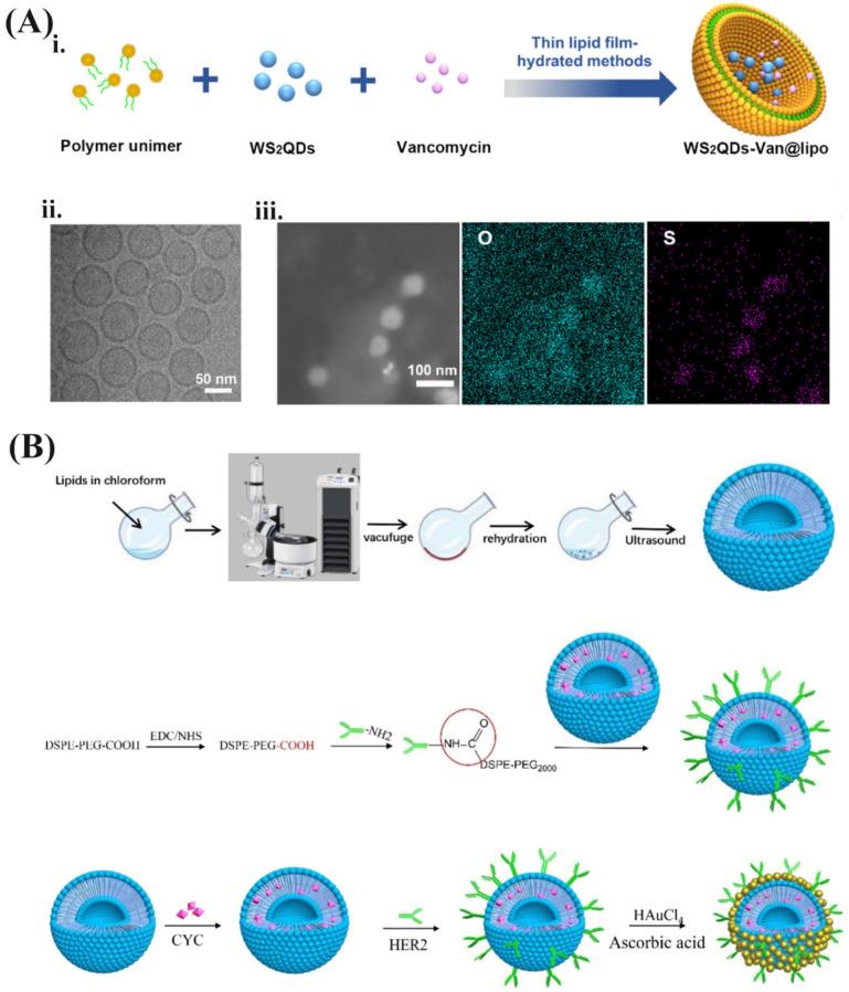 https://cdn.ncbi.nlm.nih.gov/pmc/blobs/c37a/8704010/cdb042ccba4d/pharmaceutics-13-02070-g004.jpg