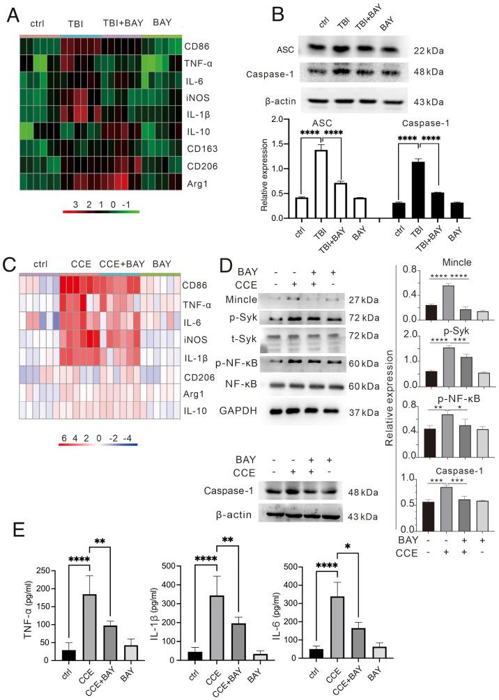 https://cdn.ncbi.nlm.nih.gov/pmc/blobs/c37b/8612304/c6ed16813acb/IJMM-49-01-05060-g01.jpg