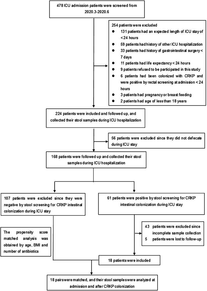 https://cdn.ncbi.nlm.nih.gov/pmc/blobs/c37d/12335454/aa7103e3556c/41522_2025_791_Fig7_HTML.jpg