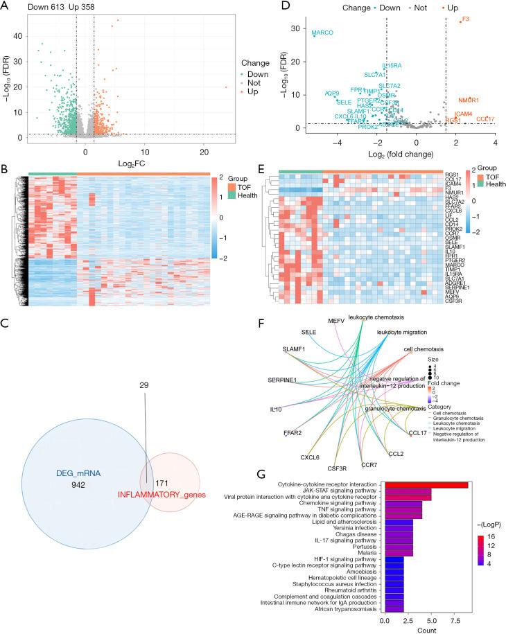 https://cdn.ncbi.nlm.nih.gov/pmc/blobs/c37f/11320004/07073e1fe329/tp-13-07-1033-f1.jpg