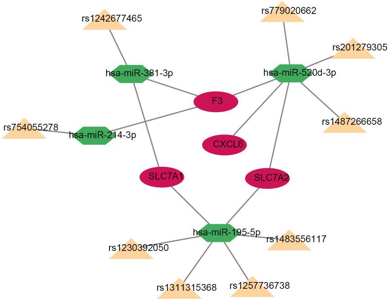 https://cdn.ncbi.nlm.nih.gov/pmc/blobs/c37f/11320004/676075c2f052/tp-13-07-1033-f8.jpg