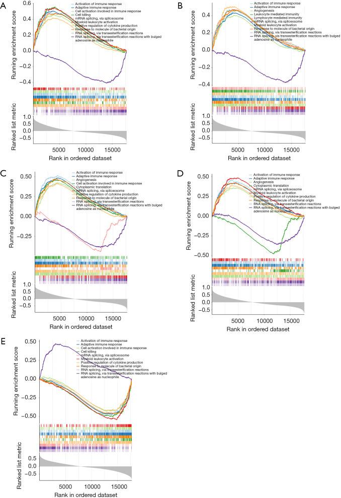 https://cdn.ncbi.nlm.nih.gov/pmc/blobs/c37f/11320004/9d6a59ac5eb3/tp-13-07-1033-f4.jpg