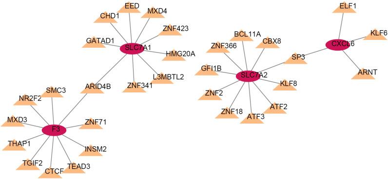 https://cdn.ncbi.nlm.nih.gov/pmc/blobs/c37f/11320004/d29d6cd54b05/tp-13-07-1033-f7.jpg