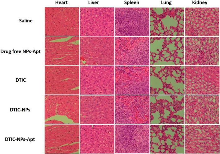 https://cdn.ncbi.nlm.nih.gov/pmc/blobs/c37f/8892180/472a8743f5dd/fbioe-10-847901-g008.jpg