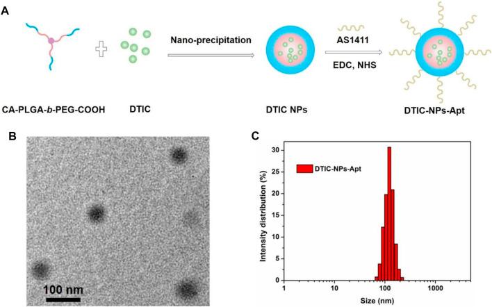 https://cdn.ncbi.nlm.nih.gov/pmc/blobs/c37f/8892180/d9b44da49e97/fbioe-10-847901-g003.jpg