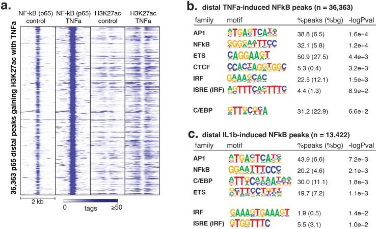 https://cdn.ncbi.nlm.nih.gov/pmc/blobs/c380/5461113/df3d9b42f542/elife-22536-fig5-figsupp3.jpg