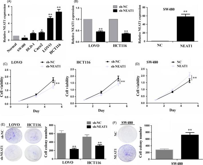 https://cdn.ncbi.nlm.nih.gov/pmc/blobs/c381/6430453/35dbf9d7b54c/CPR-52-e12526-g002.jpg