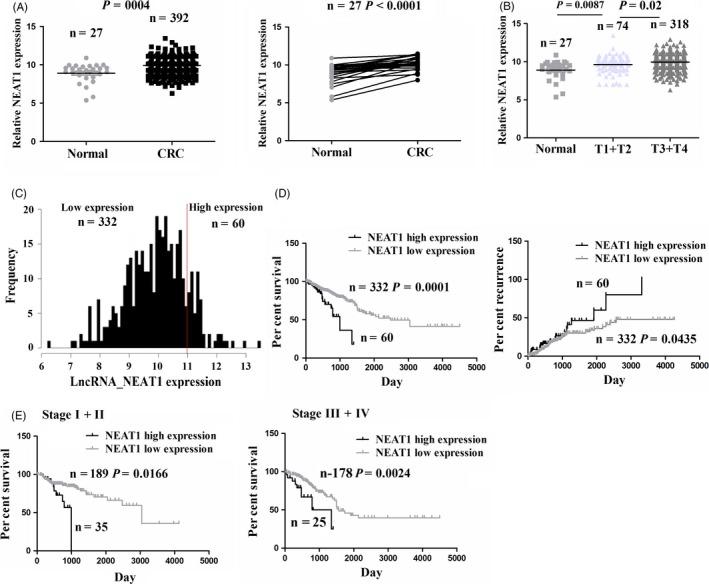 https://cdn.ncbi.nlm.nih.gov/pmc/blobs/c381/6430453/7193888bc0fb/CPR-52-e12526-g001.jpg