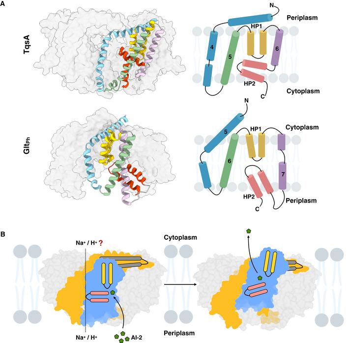 https://cdn.ncbi.nlm.nih.gov/pmc/blobs/c381/9475539/4acb7f28d2e0/EMBJ-41-e109990-g008.jpg