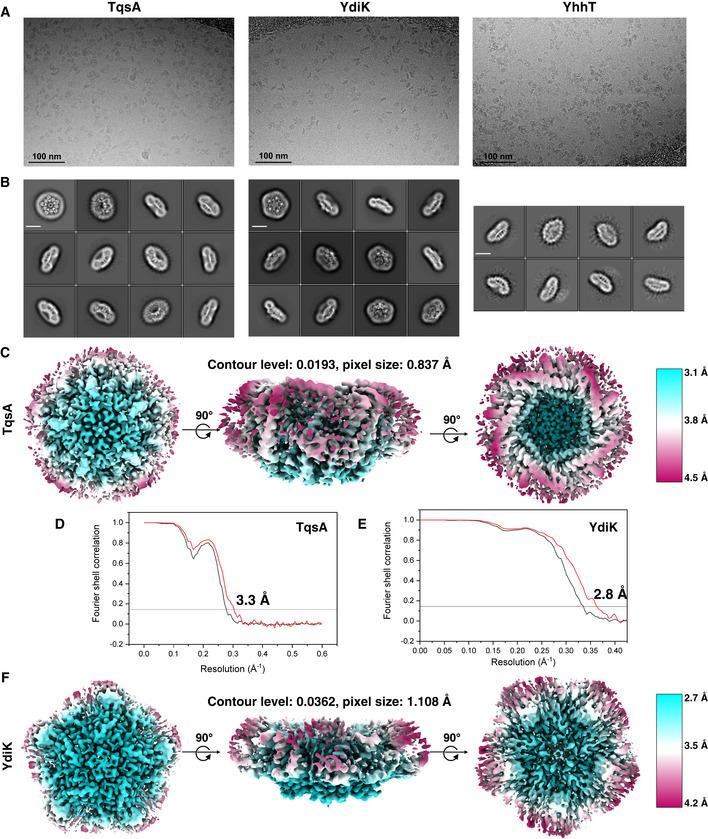 https://cdn.ncbi.nlm.nih.gov/pmc/blobs/c381/9475539/801b81da36aa/EMBJ-41-e109990-g011.jpg
