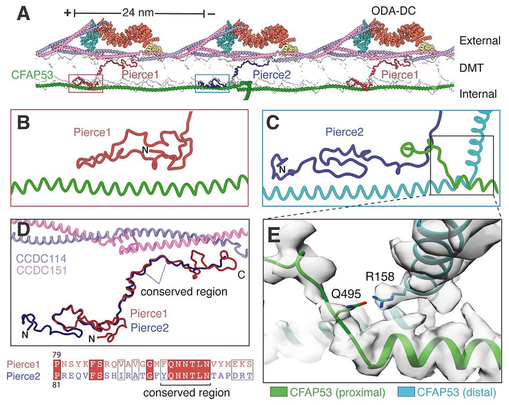 https://cdn.ncbi.nlm.nih.gov/pmc/blobs/c384/8595878/0a6db03c77cd/nihms-1749474-f0005.jpg