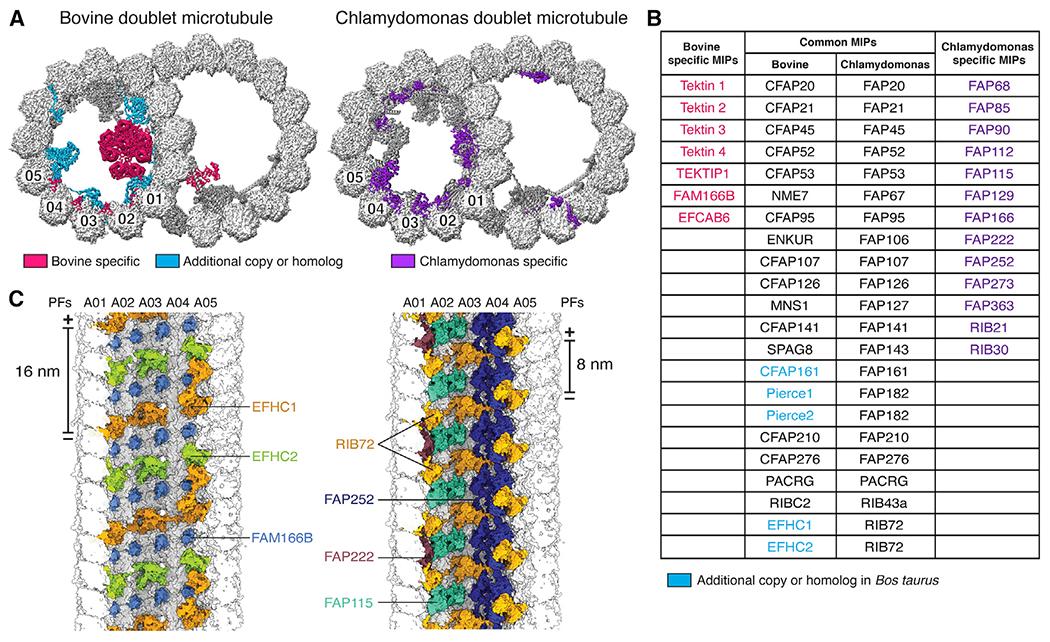 https://cdn.ncbi.nlm.nih.gov/pmc/blobs/c384/8595878/3ccebefe9685/nihms-1749474-f0002.jpg