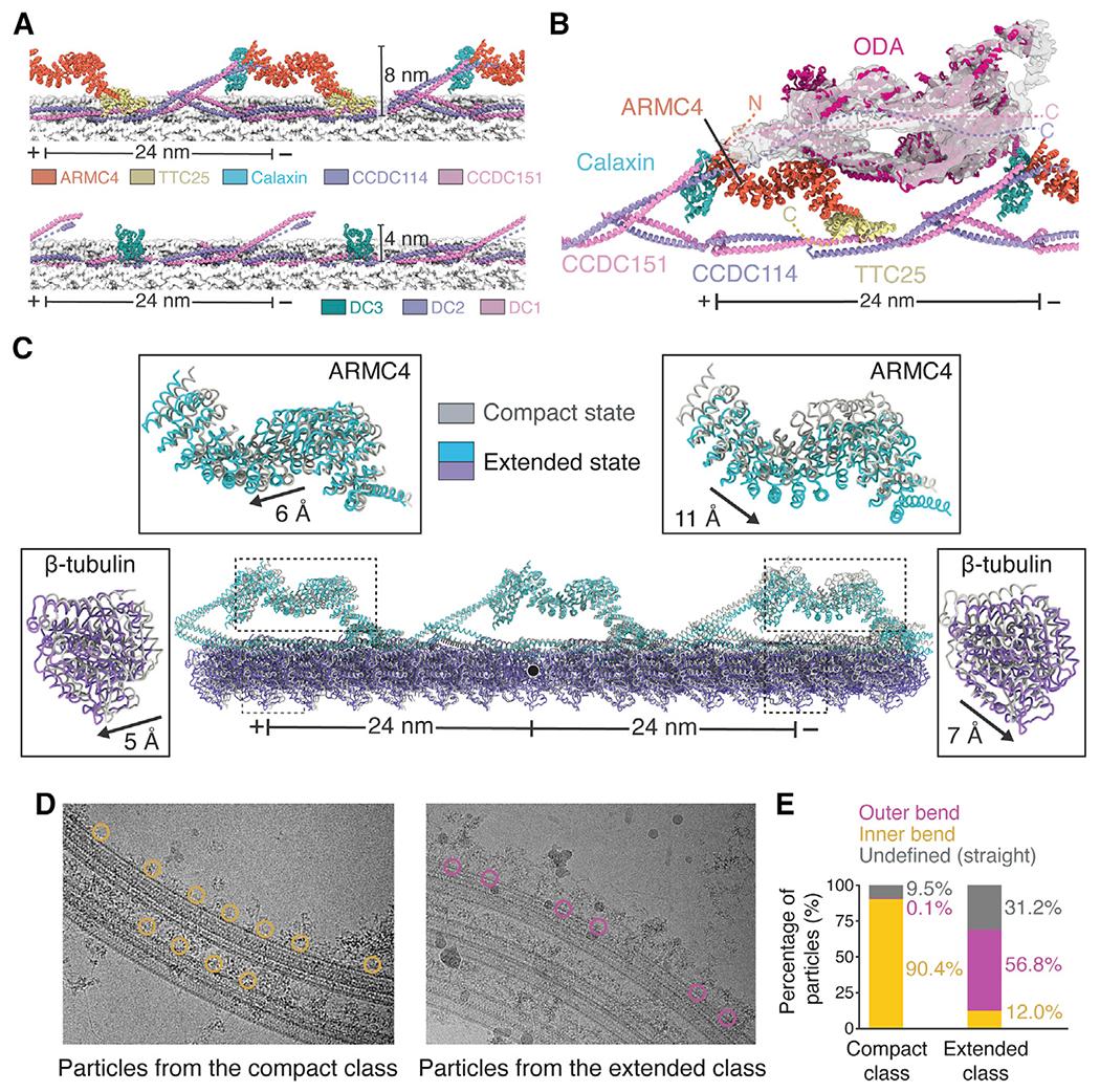 https://cdn.ncbi.nlm.nih.gov/pmc/blobs/c384/8595878/d3c34b179f65/nihms-1749474-f0004.jpg