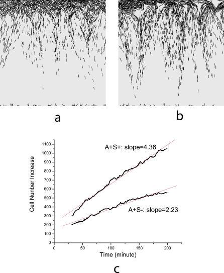 https://cdn.ncbi.nlm.nih.gov/pmc/blobs/c385/2230681/3fb5165d4da2/pcbi.0030253.g006.jpg