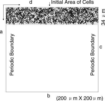 https://cdn.ncbi.nlm.nih.gov/pmc/blobs/c385/2230681/ab6358175255/pcbi.0030253.g005.jpg