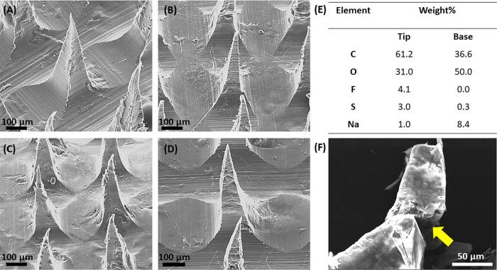 https://cdn.ncbi.nlm.nih.gov/pmc/blobs/c386/10951948/f4cd4b47bb4c/mt3c01133_0005.jpg