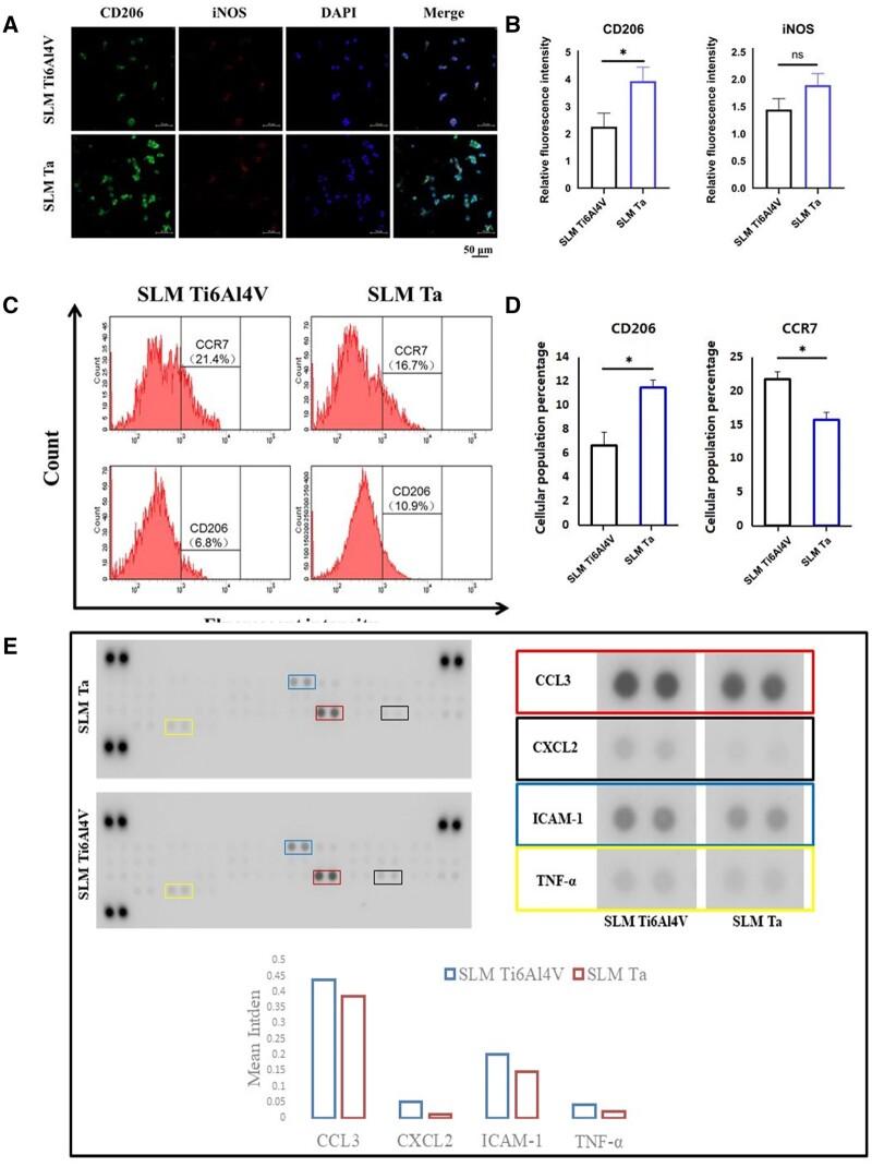 https://cdn.ncbi.nlm.nih.gov/pmc/blobs/c386/11162747/4471f665f1ba/rbae057f3.jpg
