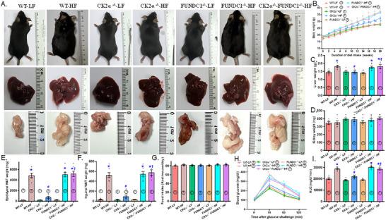 https://cdn.ncbi.nlm.nih.gov/pmc/blobs/c387/12246556/6bcc4162193c/MCO2-6-e70277-g003.jpg