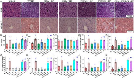 https://cdn.ncbi.nlm.nih.gov/pmc/blobs/c387/12246556/6d1c2f318bb0/MCO2-6-e70277-g007.jpg