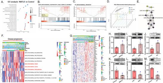 https://cdn.ncbi.nlm.nih.gov/pmc/blobs/c387/12246556/d03e813f54e6/MCO2-6-e70277-g006.jpg