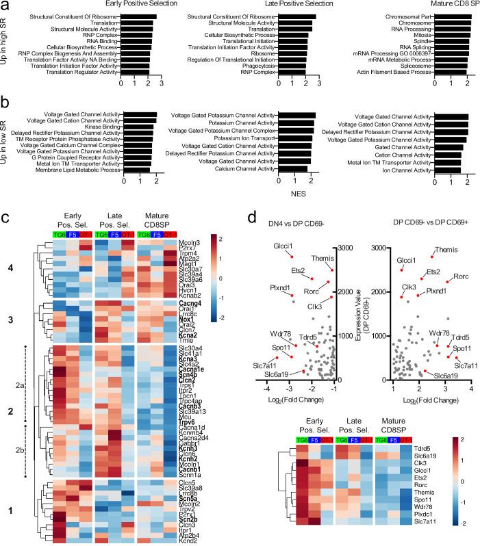 https://cdn.ncbi.nlm.nih.gov/pmc/blobs/c388/8116051/1f814d0bdb58/elife-65435-fig6.jpg