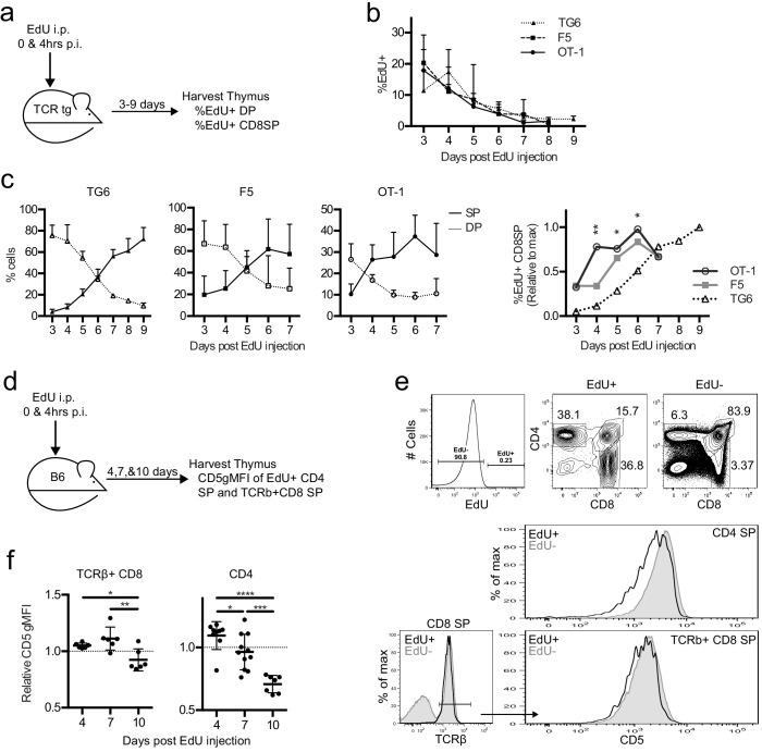 https://cdn.ncbi.nlm.nih.gov/pmc/blobs/c388/8116051/4e4afd6ae6ca/elife-65435-fig5.jpg