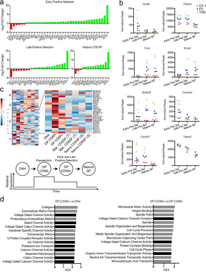https://cdn.ncbi.nlm.nih.gov/pmc/blobs/c388/8116051/4ecd18aa5f4e/elife-65435-fig6-figsupp2.jpg