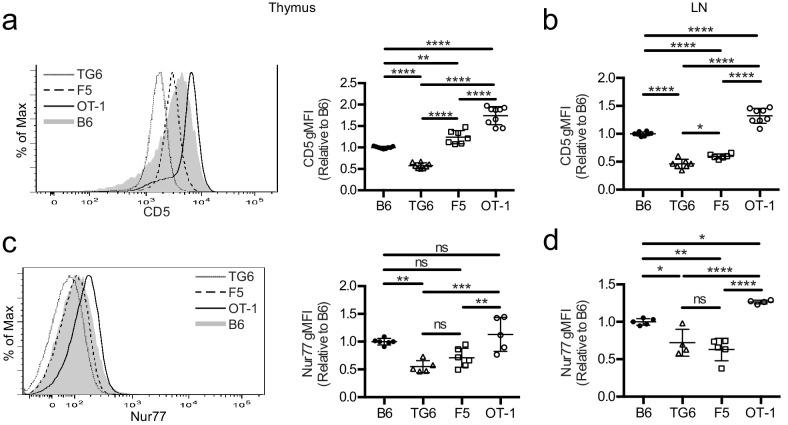 https://cdn.ncbi.nlm.nih.gov/pmc/blobs/c388/8116051/8c0303fab600/elife-65435-fig1.jpg