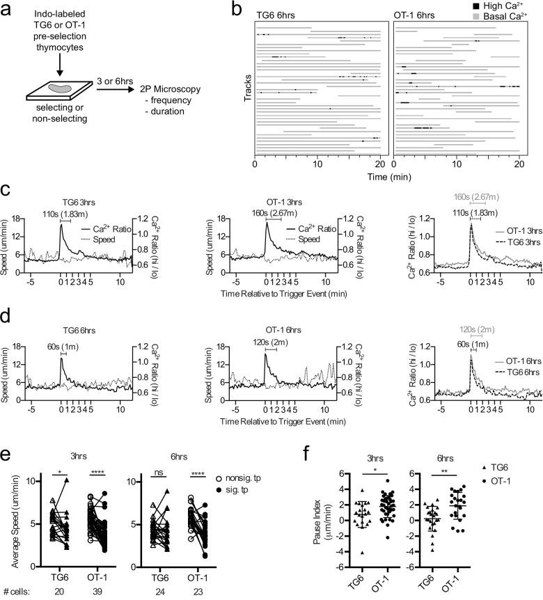https://cdn.ncbi.nlm.nih.gov/pmc/blobs/c388/8116051/e29d9602c591/elife-65435-fig2.jpg