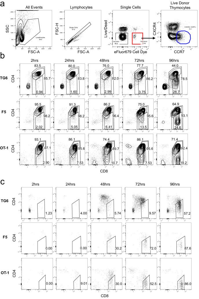 https://cdn.ncbi.nlm.nih.gov/pmc/blobs/c388/8116051/eff26a61117c/elife-65435-fig3-figsupp1.jpg
