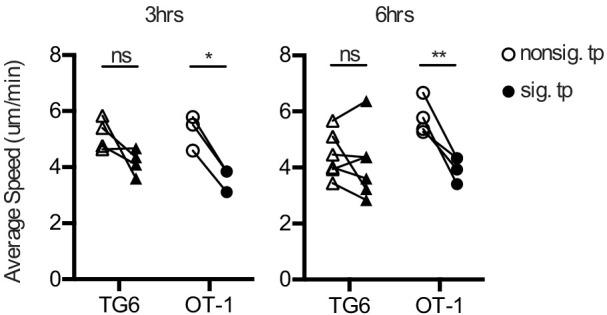 https://cdn.ncbi.nlm.nih.gov/pmc/blobs/c388/8116051/f6a77eca3e36/elife-65435-fig2-figsupp2.jpg