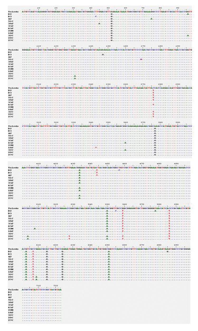 https://cdn.ncbi.nlm.nih.gov/pmc/blobs/c38a/3539624/5e5565930103/medscimonit-17-8-CR423-g004.jpg