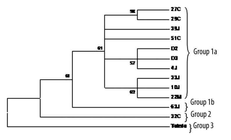 https://cdn.ncbi.nlm.nih.gov/pmc/blobs/c38a/3539624/e4d4041c29e3/medscimonit-17-8-CR423-g006.jpg
