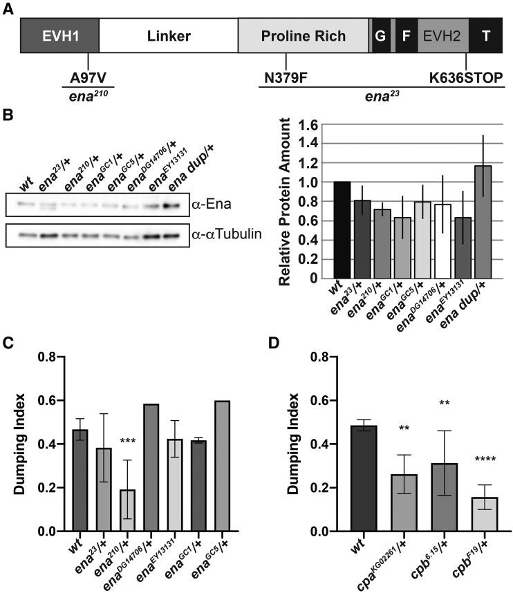 https://cdn.ncbi.nlm.nih.gov/pmc/blobs/c38a/6829128/84862dc89a1d/3555f4.jpg